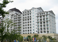 201007291031430