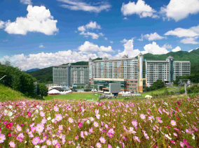 웰리힐리파크 리조트