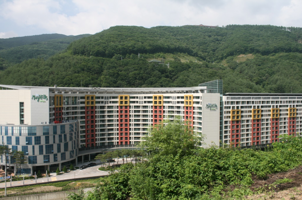 사진1