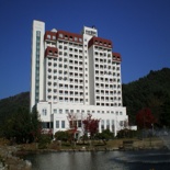 200804291502150